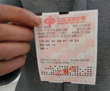 成人网在线