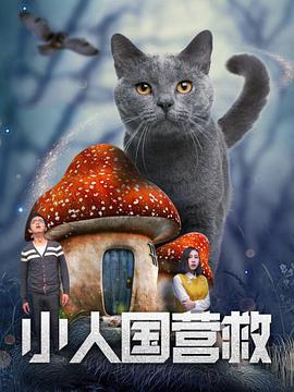 综合在线播放