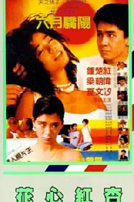 婷婷影视