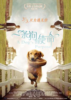 一区二区三区国产精品