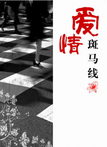 成人激情综合