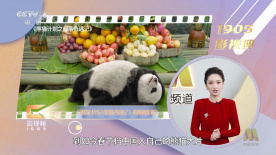 中文欧美日韩